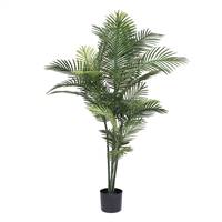 60" UV Robellini Palm Tree w/34 Lvs