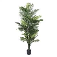72" UV Robellini Palm Tree w/57 Lvs