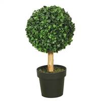 10" Boxwood Topiary w/5" Pot-7" Ball