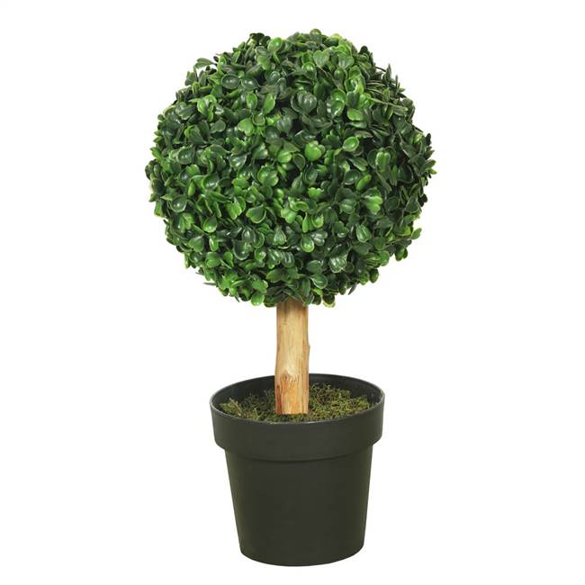 10" Boxwood Topiary w/5" Pot-7" Ball