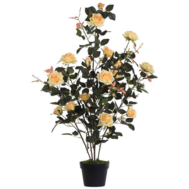 45" Yellow Rose Plant in Pot