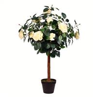 3' Potted White Rose Tree x14 Flowers