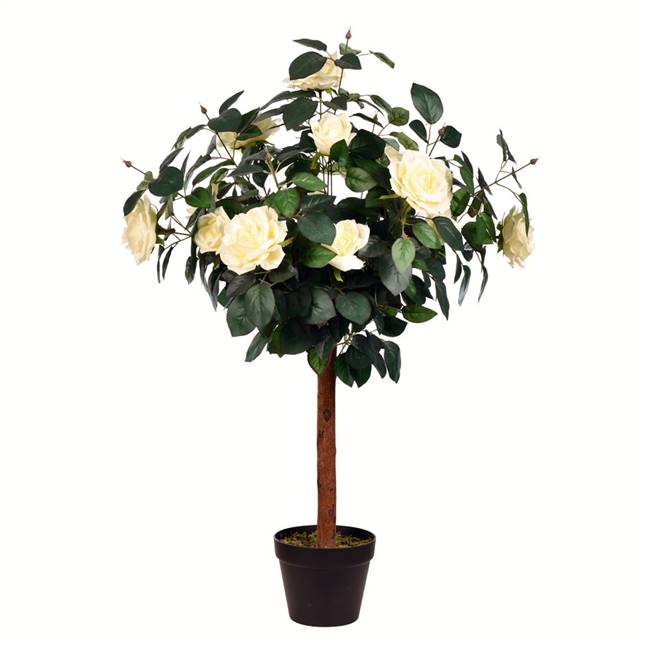 3' Potted White Rose Tree x14 Flowers