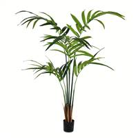 5' Potted Kentia Palm 88 Leaves