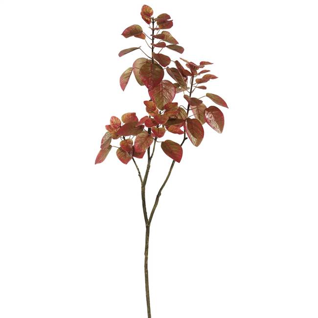 4' Cotinus Coggygria Branch-Red