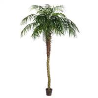 8' Potted Pheonix Palm Tree 1095Lvs