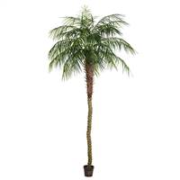 9' Potted Pheonix Palm Tree 1144Lvs