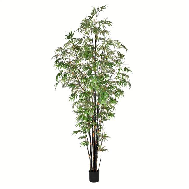 10' Potted Black Japanese Bamboo Tree