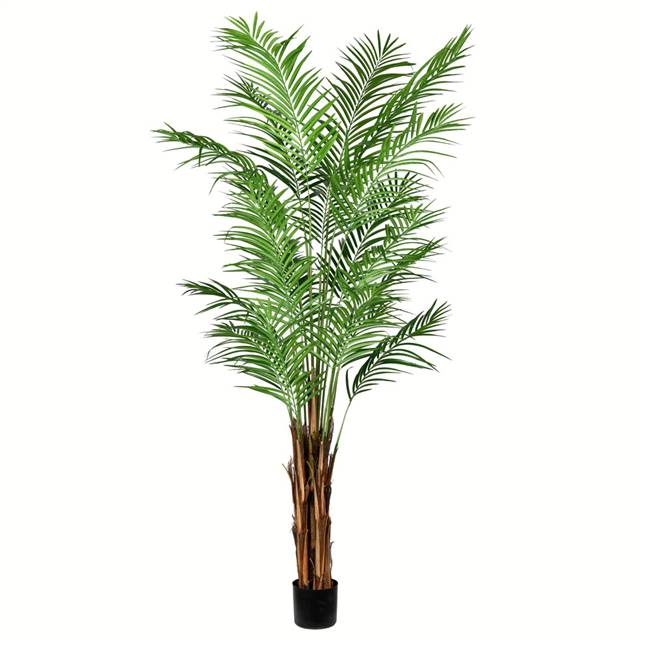 7' Potted Areca Palm 739 Leaves