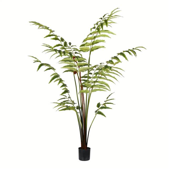 5' Potted Leather Fern 180 Leaves