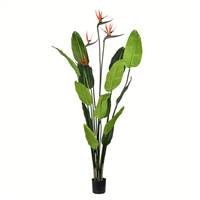 5' Potted Bird of Paradise Palm 14 Leave