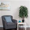 4' IFR Green Smilax Bush in Blk Pot