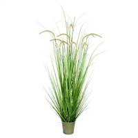 48" Green Cattail Grass In Iron Pot