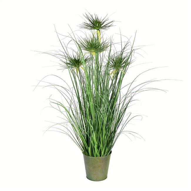 36" Green Cyperus Grass In Iron Pot