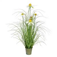 24" Green Daisy Grass In Iron Pot