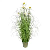 37" Green Daisy Grass In Iron Pot