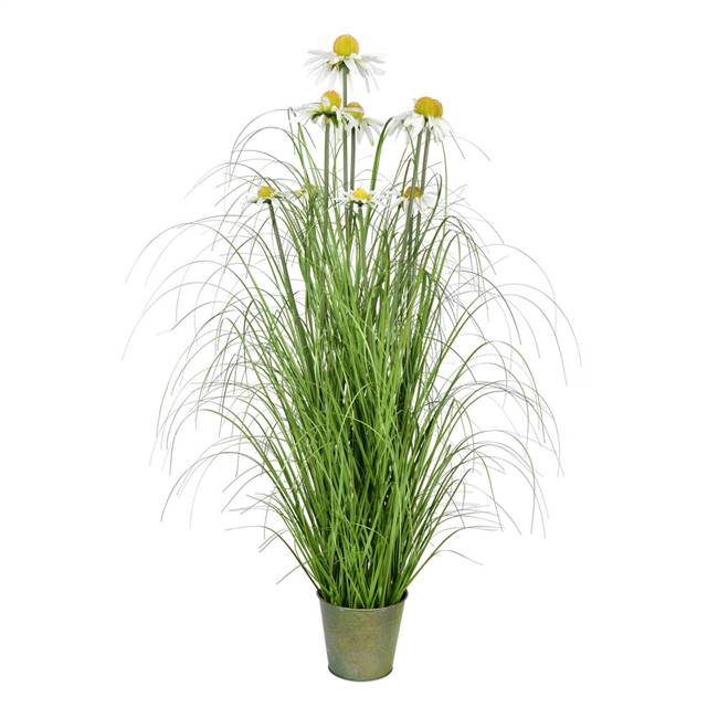 37" Green Daisy Grass In Iron Pot