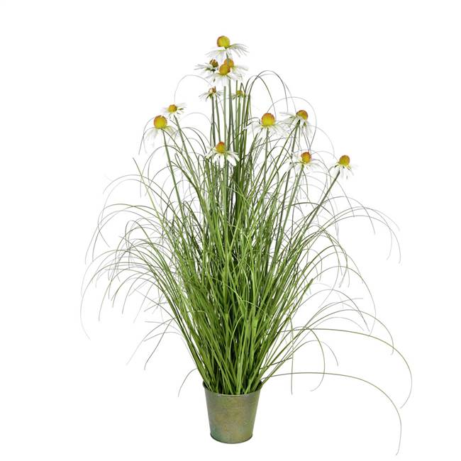 48" Green Daisy Grass In Iron Pot