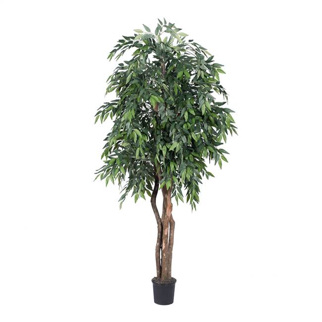 6' IFR Green Smilax Executive Tree