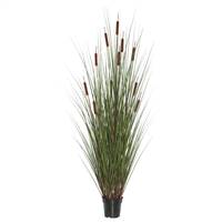 24" Grass with 5 Cattails Potted