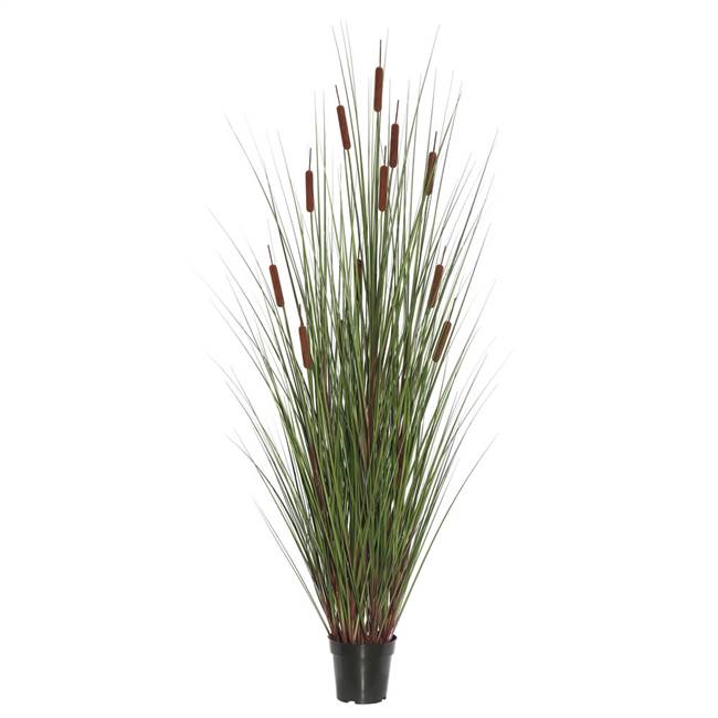 36" Grass with 6 Cattails Potted