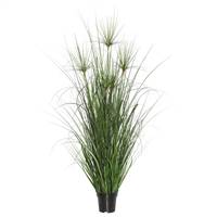 24" Green Brushed Grass in Pot