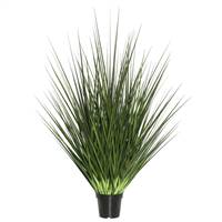 36" Extra Full Grass Potted