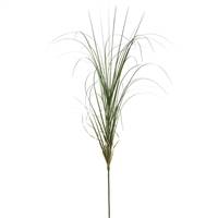 36" Green Curled Grass Spray 6/pk