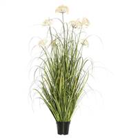 24" Dandelion Grass in Pot