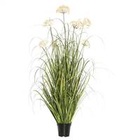 36" Dandelion Grass in Pot