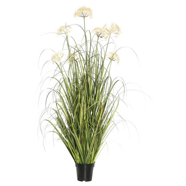 48" Dandelion Grass in Pot