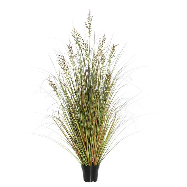 48" Green and Brown Grass in Pot