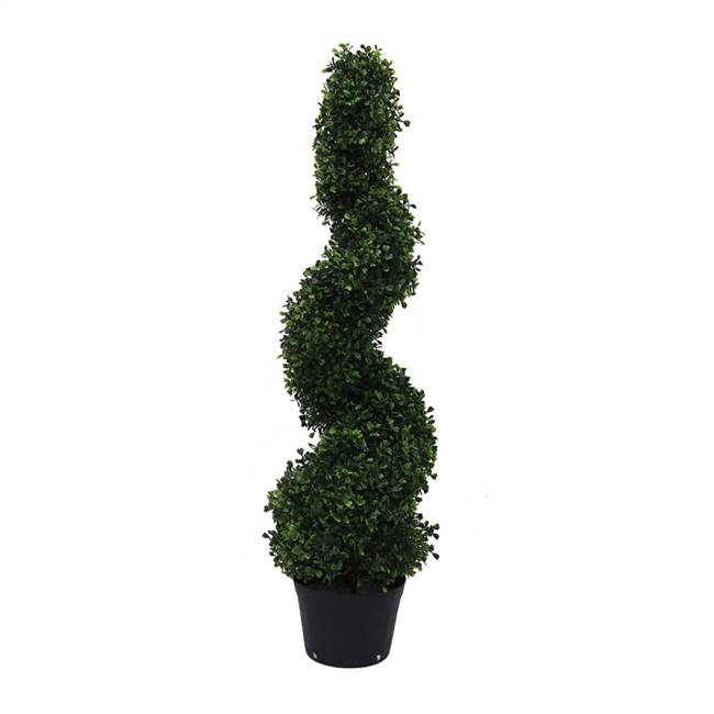 3' Boxwood Spiral In Pot (UV)