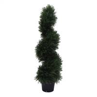 3' IFR Cedar Spiral Tree In Pot