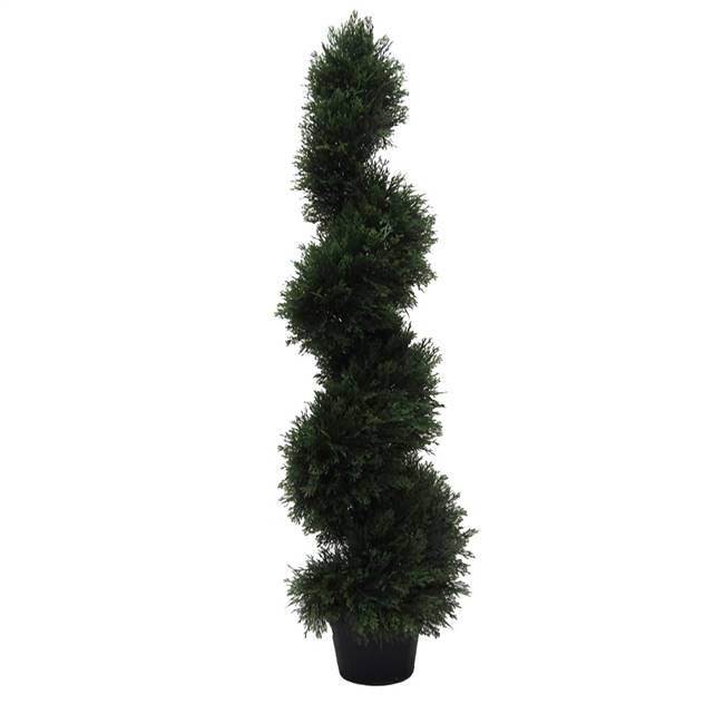 4' IFR Cedar Spiral Tree In Pot