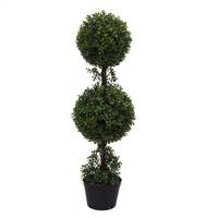 3' Boxwood Double Ball in Pot (UV)