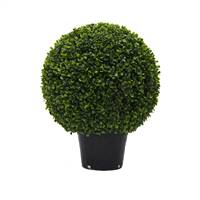 20" Boxwood Ball In Pot UV