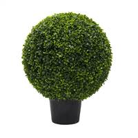 24" Boxwood Ball In Pot UV