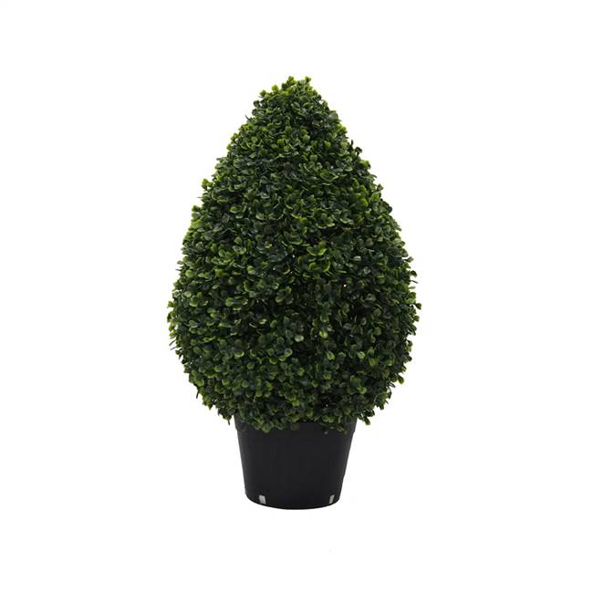 24" IFR Boxwood Teardrop In Pot