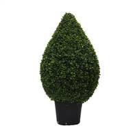 36" Boxwood Teardrop Shaped In Pot (UV)