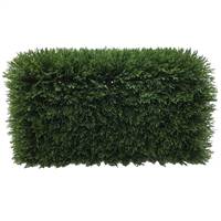 L24"xW12"xH12" Green Cedar Hedge UV