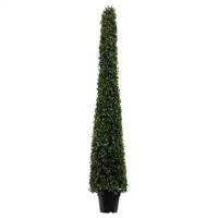 5' Potted Boxwood Cone UV