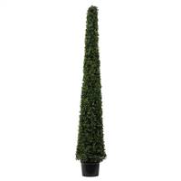 6' Potted Boxwood Cone UV