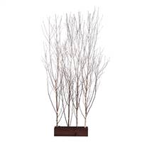 7'Winterbirch Room Divider / Snow / LED