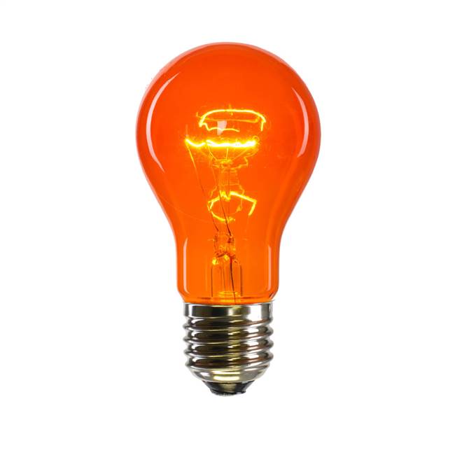 Amber Trans Med Base 130V 25 Watt Bulbs