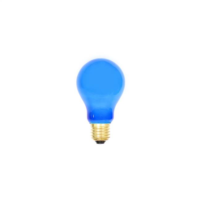 Blue Ceramic Med Base 130V 25 Watt Bulbs