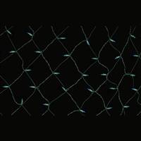 150Lt Blue/GW Ec 4'x 6' Net Set C/Box