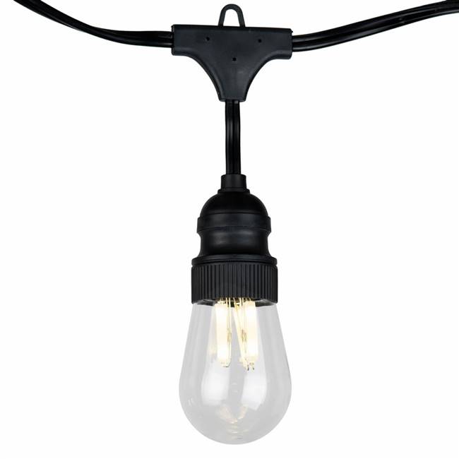 10Lt LED Filament WmWht Edison Set 18"Sp