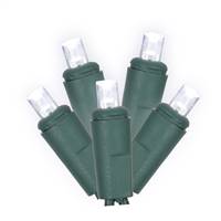50Lt LED CoolWt/GW WA EC Set 1Pc 6"x25'L