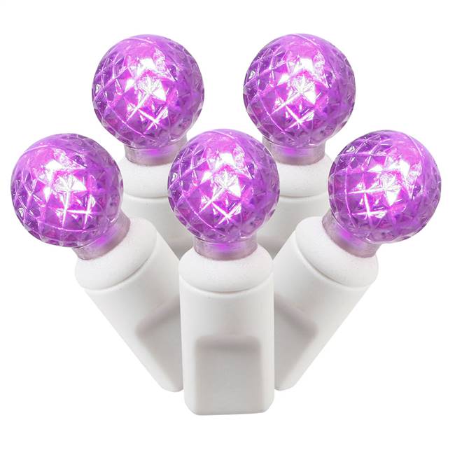 50Lt LED Purple/WW G12 EC Set  25'L